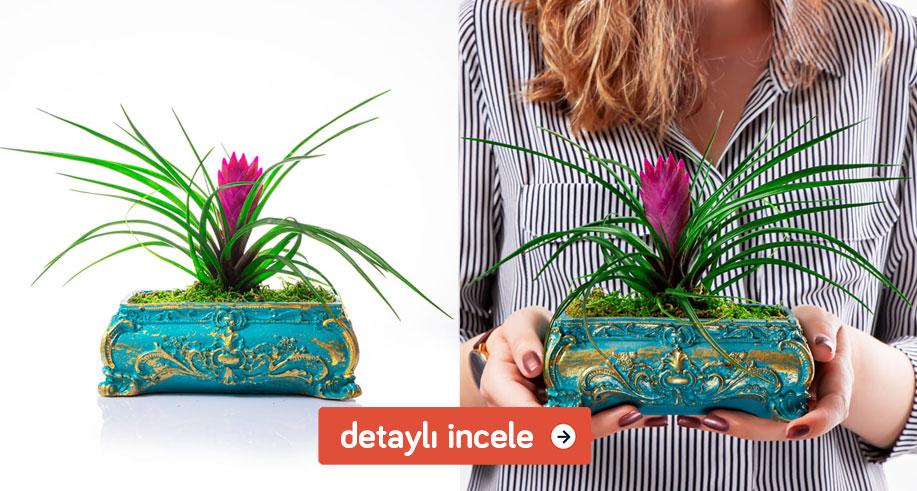 kız arkadaşa doğum günü hediyesi