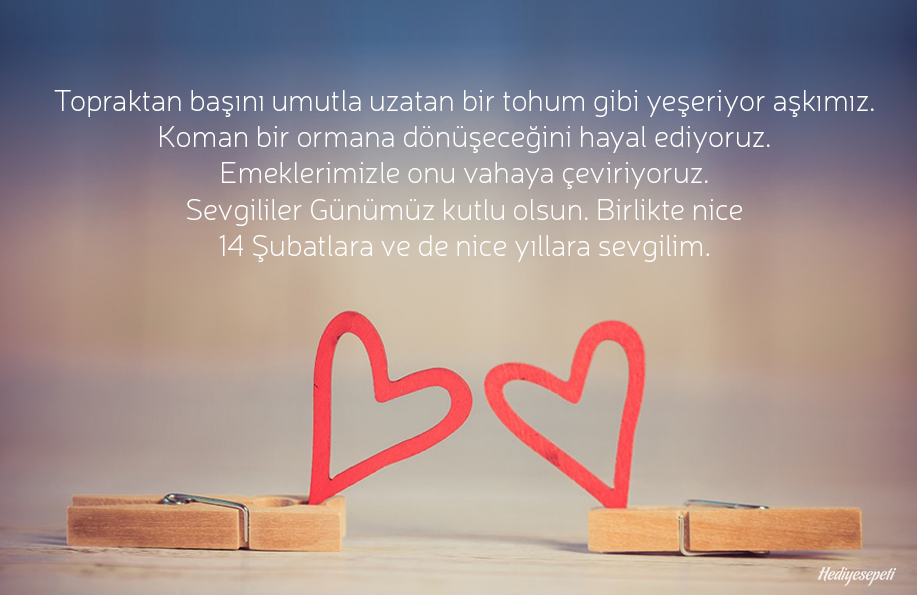 14 şubat sevgililer günü sözleri