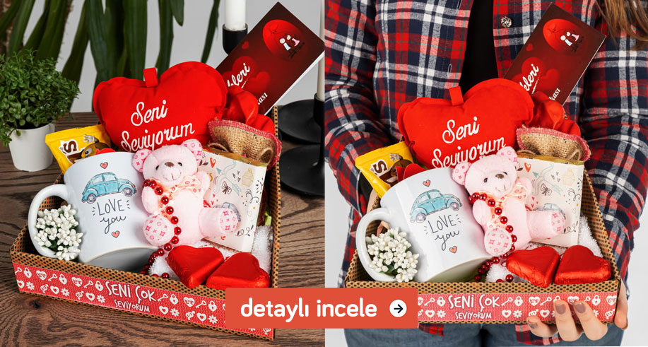 aslan burcu kız arkadaşa hediye