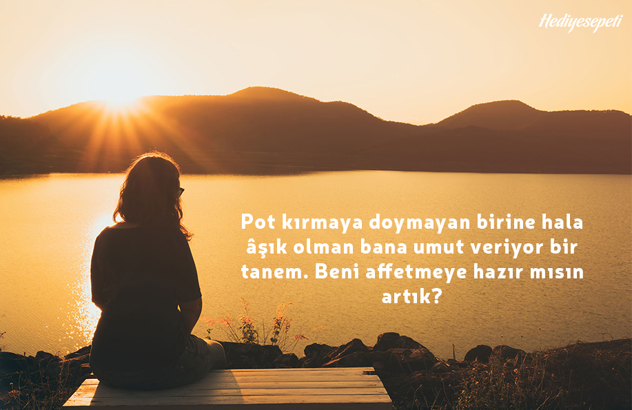 özür dilerim aşkım