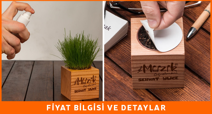 bayan müzik öğretmenine hediye