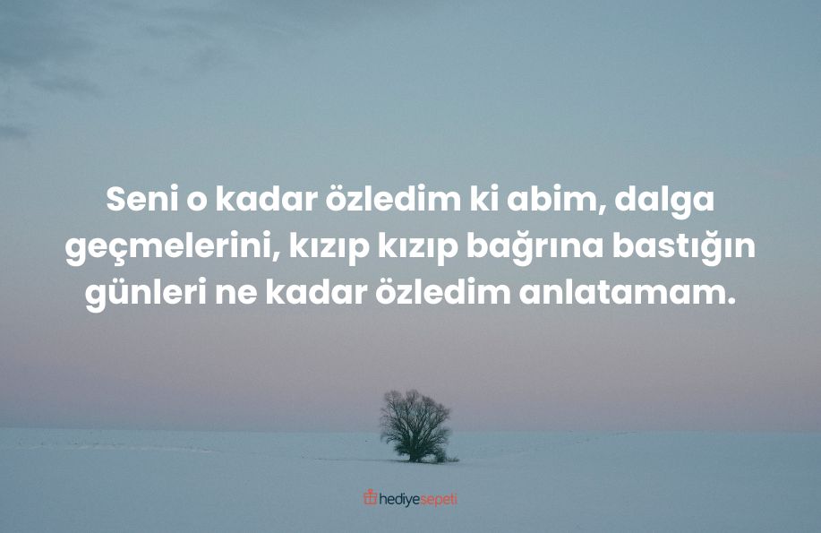 özlenen sevgiliye sözler