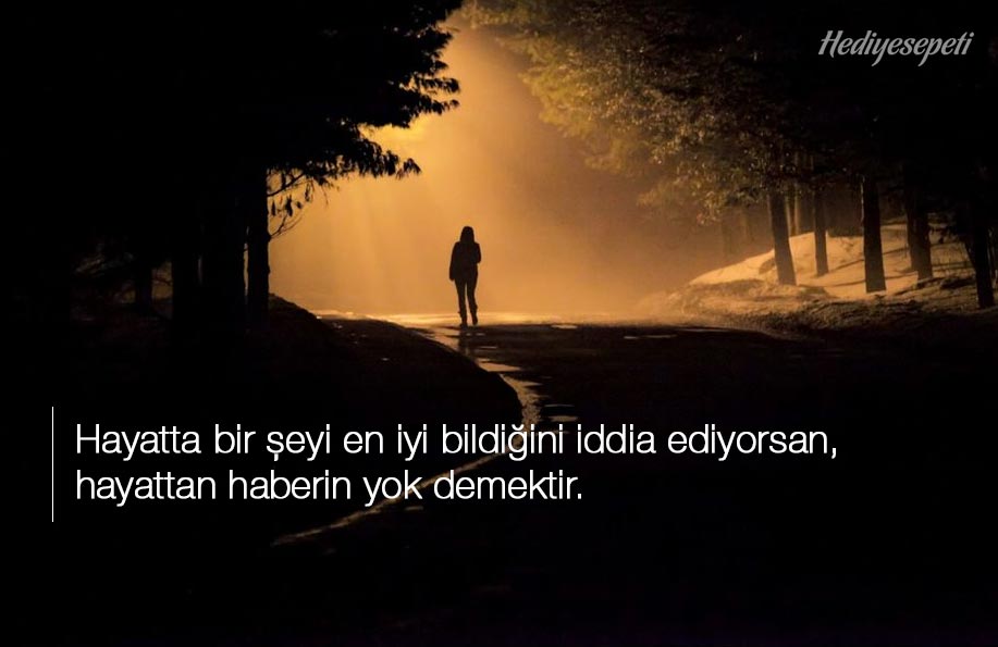hayat ile ilgili manalı sözler