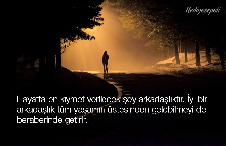 hayat ile ilgili manalı sözler