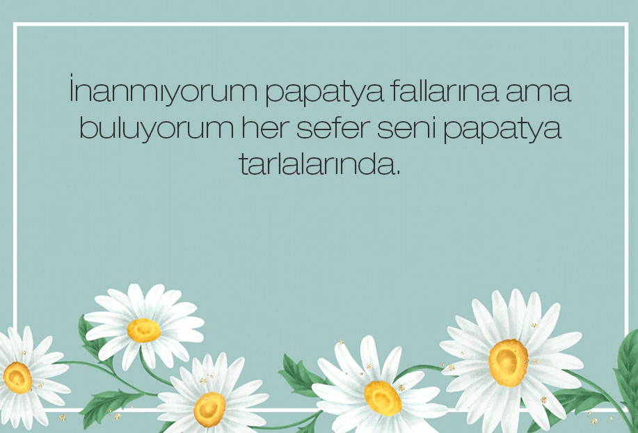 en güzel çiçek papatya sözleri