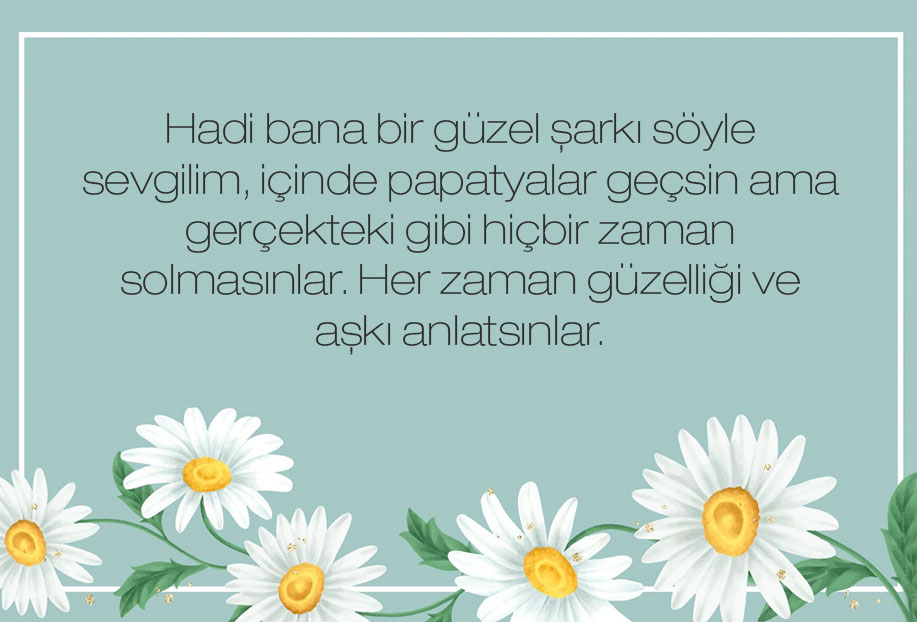 en güzel çiçek papatya sözleri