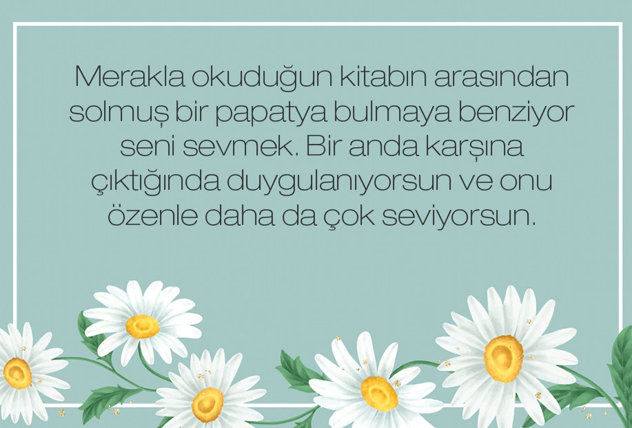 en güzel çiçek papatya sözleri