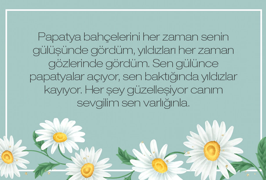 en güzel çiçek papatya sözleri
