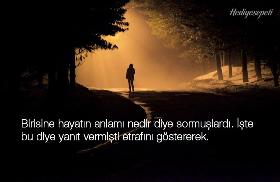 hayat ile ilgili manalı sözler