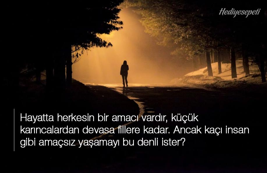 hayat ile ilgili manalı sözler