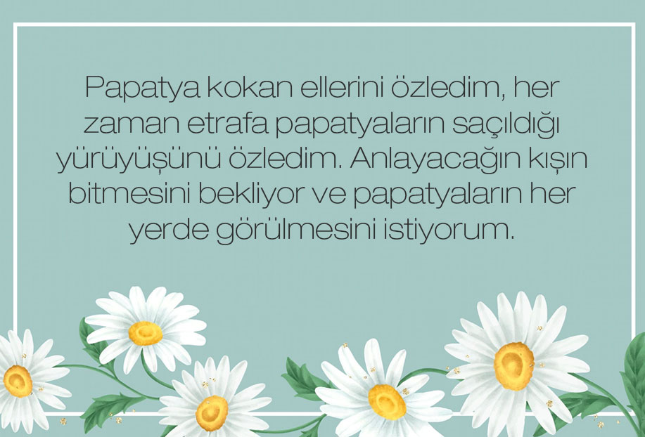 papatya güzel sözler