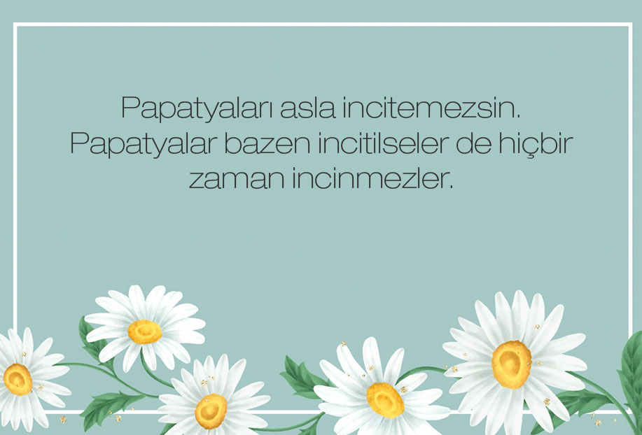 papatya güzel sözler