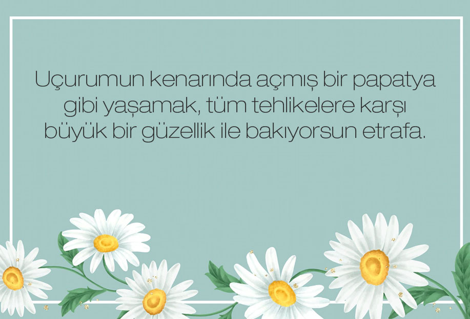 papatya güzel sözler