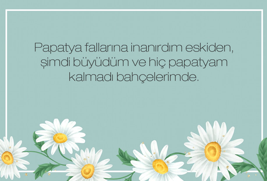 papatya ile ilgili güzel sözler