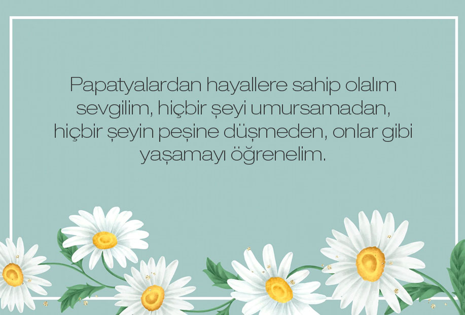 papatya ile ilgili güzel sözler