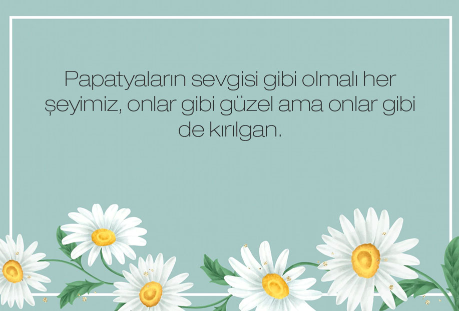 papatya ile ilgili sözler