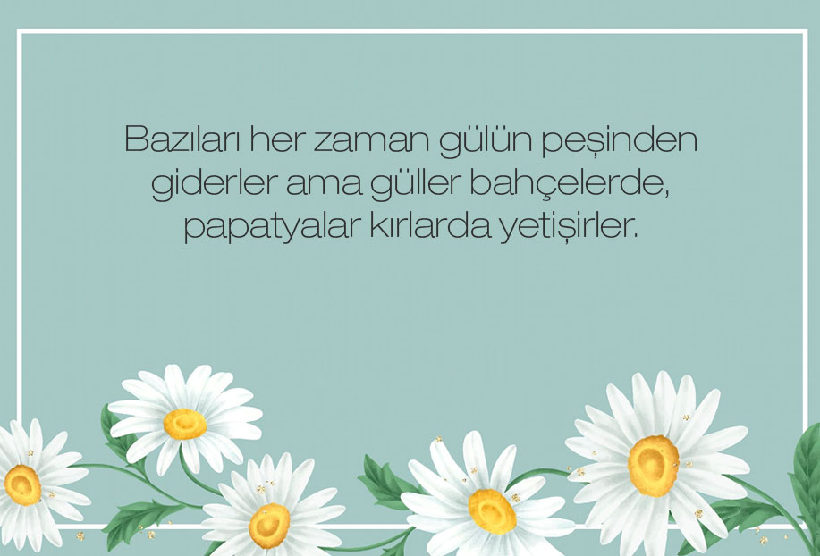 papatya kokulu sözler