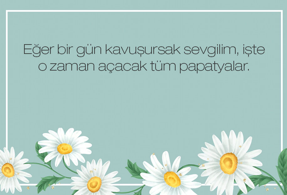 papatya kokulu sözler