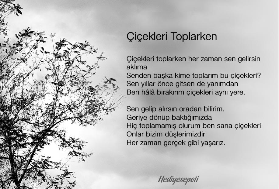 özlemle ilgili şiirler