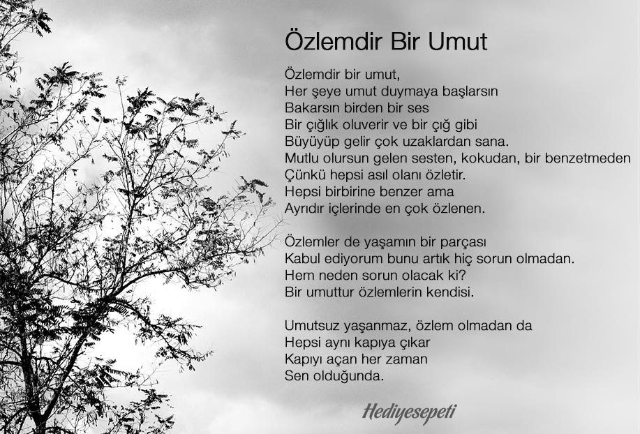 sevgiliye özlem şiirleri