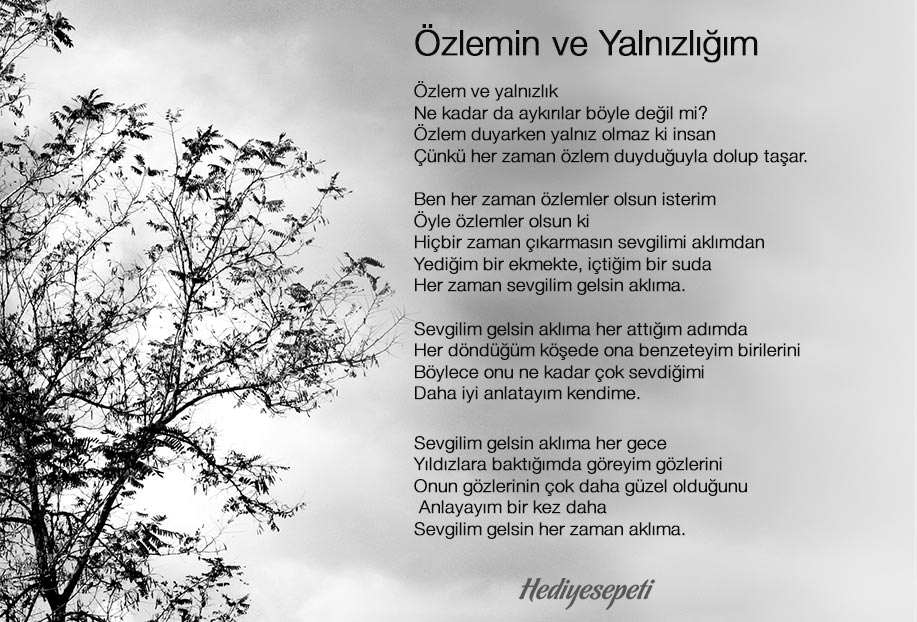 sevgiliye özlem şiirleri