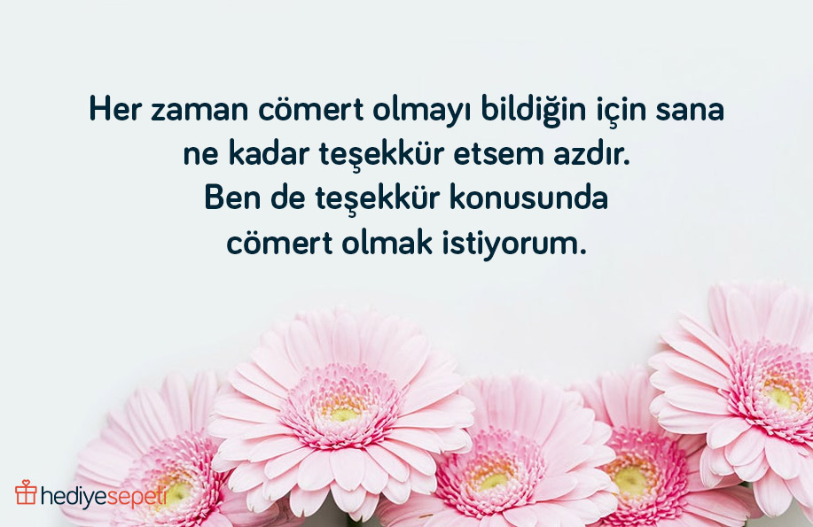sevgiliye teşekkür mesajlar