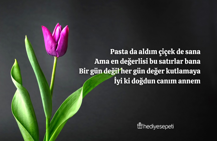 anne sevgisi siirleri