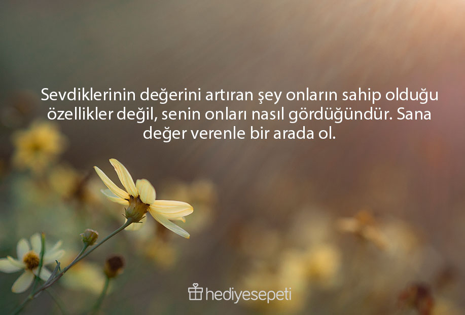 değer vermeyeceklere sözler