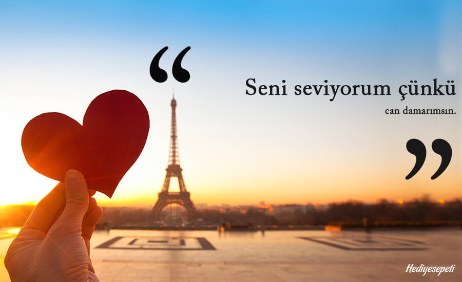 seni seviyorum sozleri