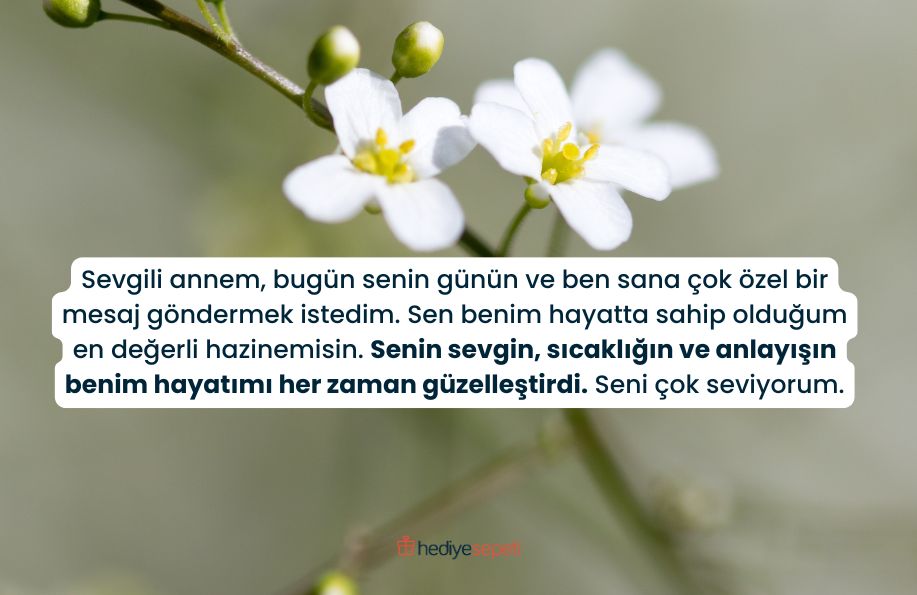anneler gunu mesaji duygusal