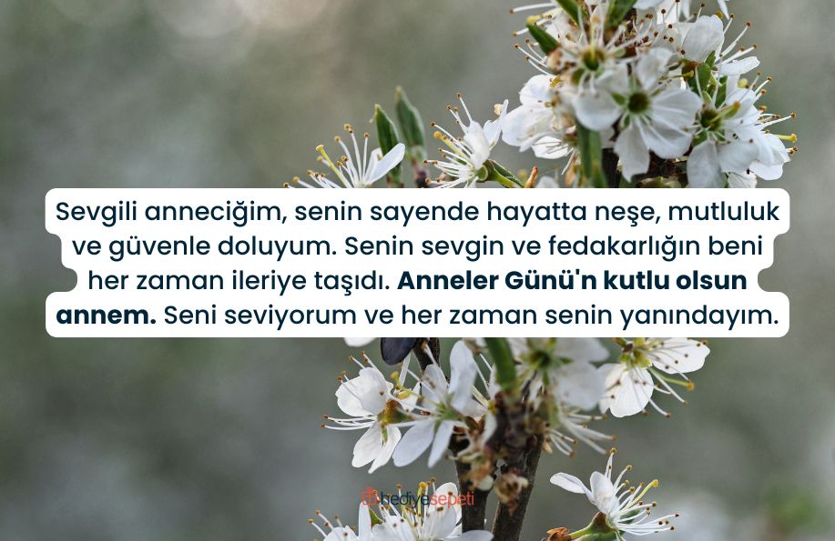 anneler gunu sozler