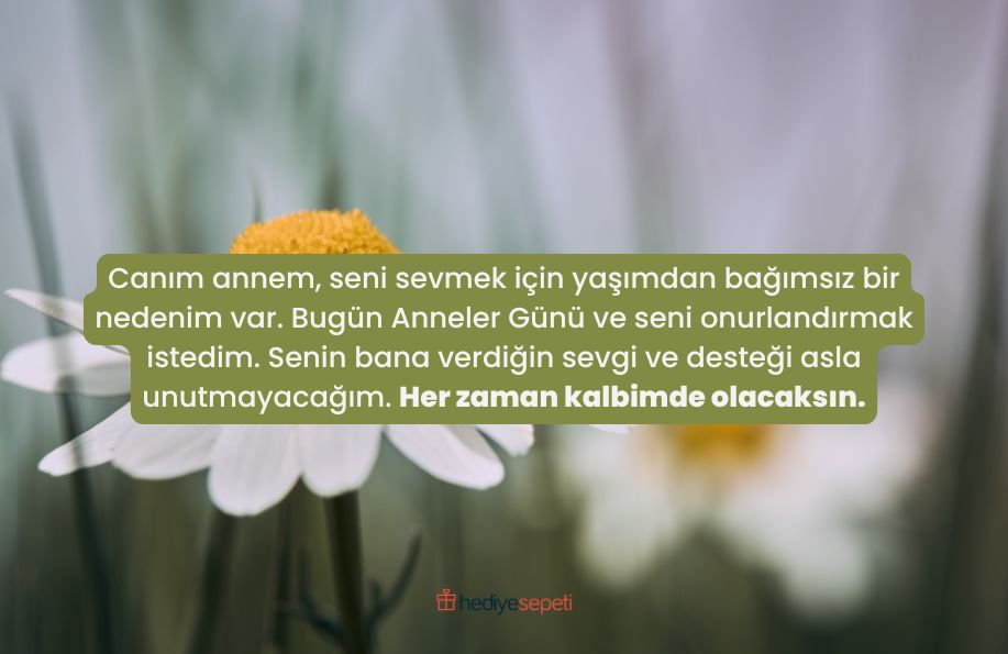 anneler gunu sozleri 