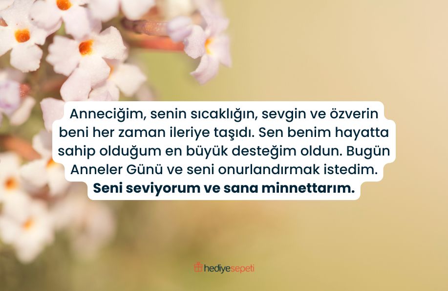 anneme anneler gunu sozleri