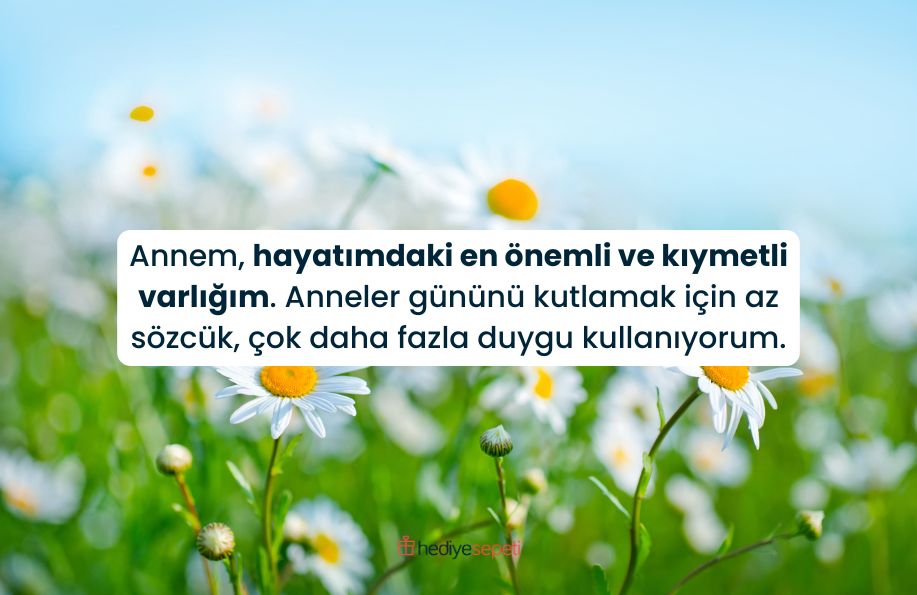 anneye anneler gunu sozleri