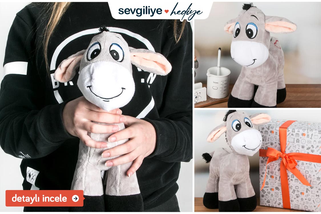 eski sevgiliye özür hediyesi