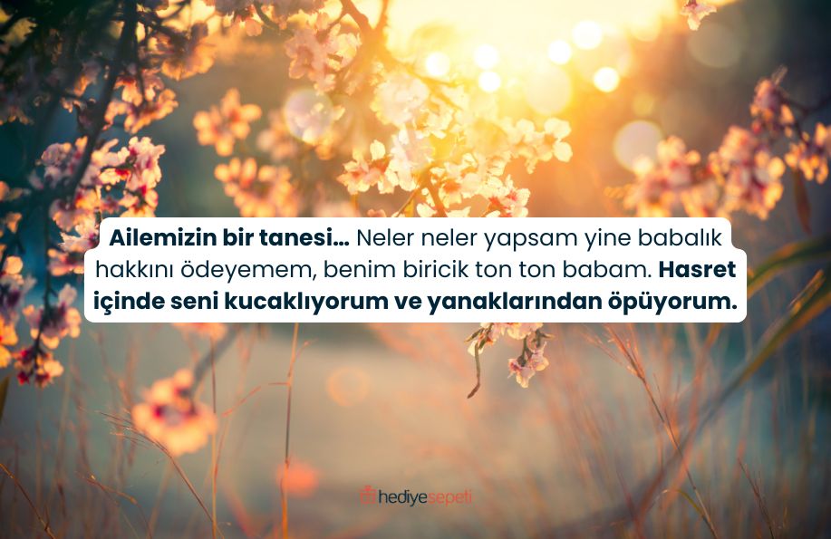 babalar günü mesajları