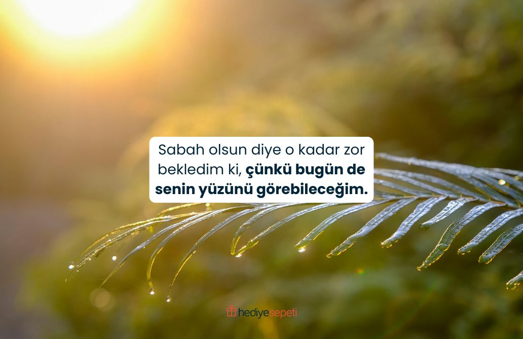 sevgiliye etkileyici gunaydin mesajlari uzun