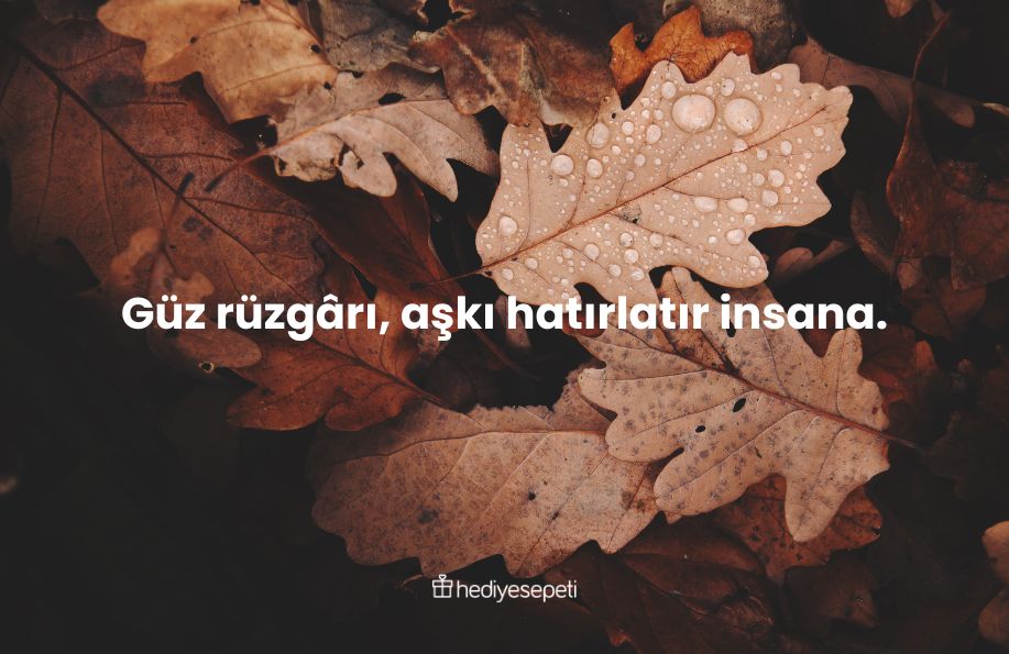 sonbahar ile ilgili sozler