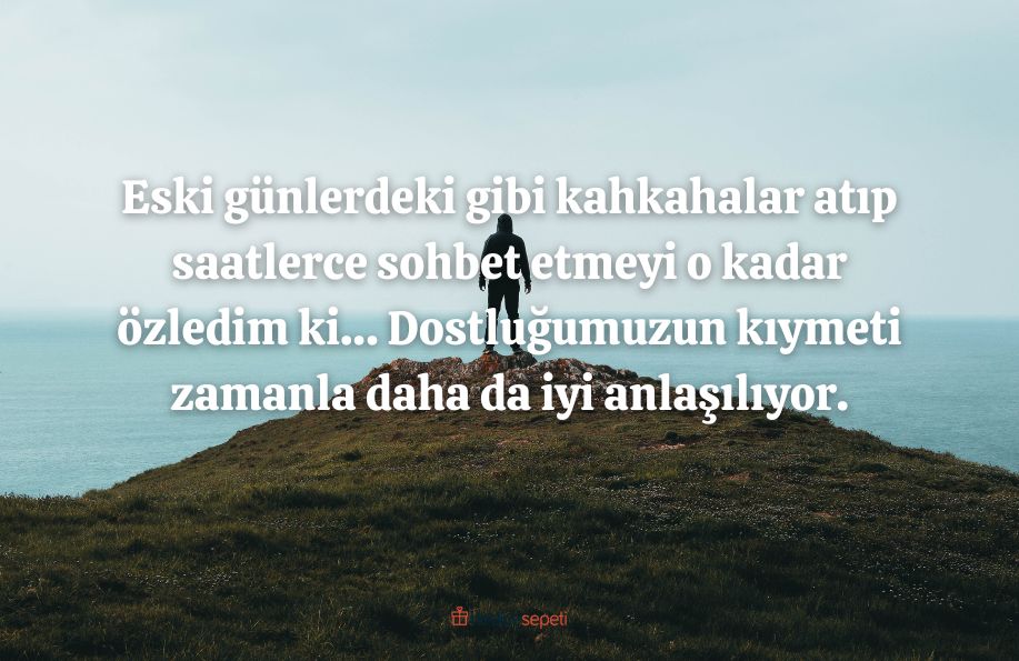 arkadasa hasret sozleri