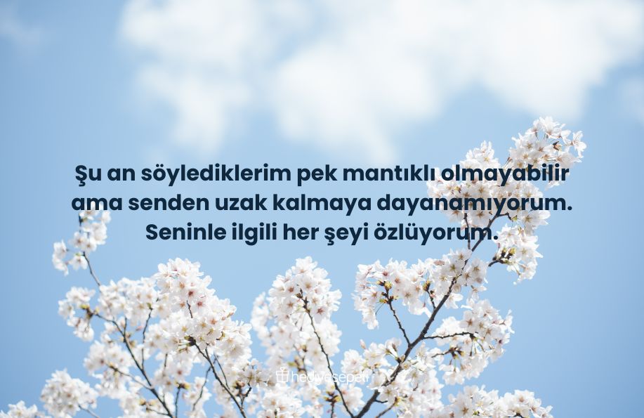 kırdığın birine özür mesajı