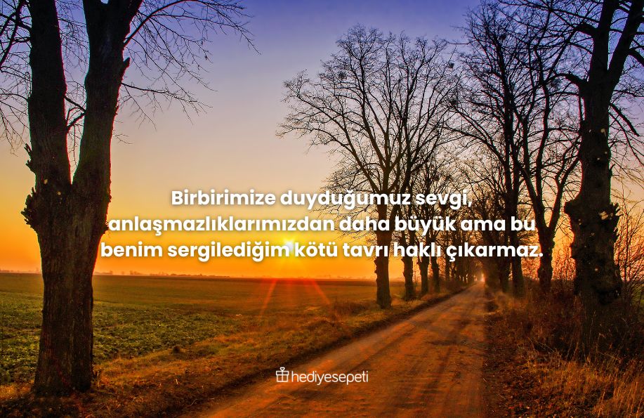 özür dilerim mesajı