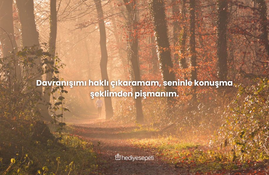 özür dilerim mesajı