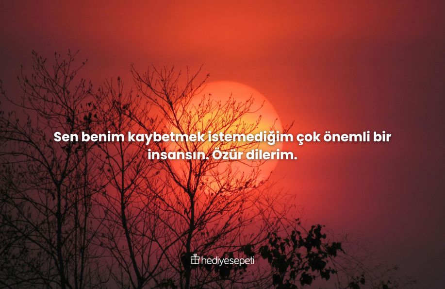 özür dilerim mesajı