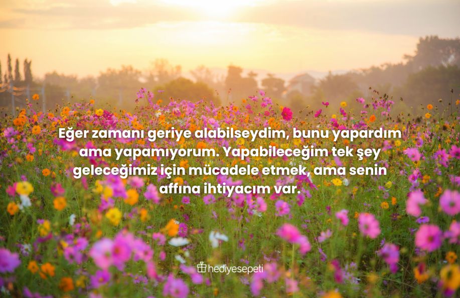 özür dilerim mesajı