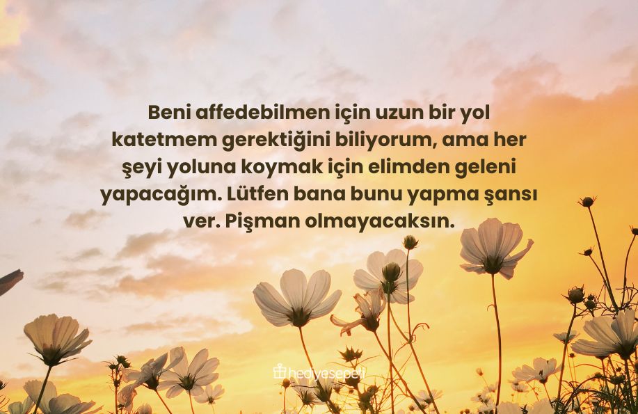 özür dilerim mesajı