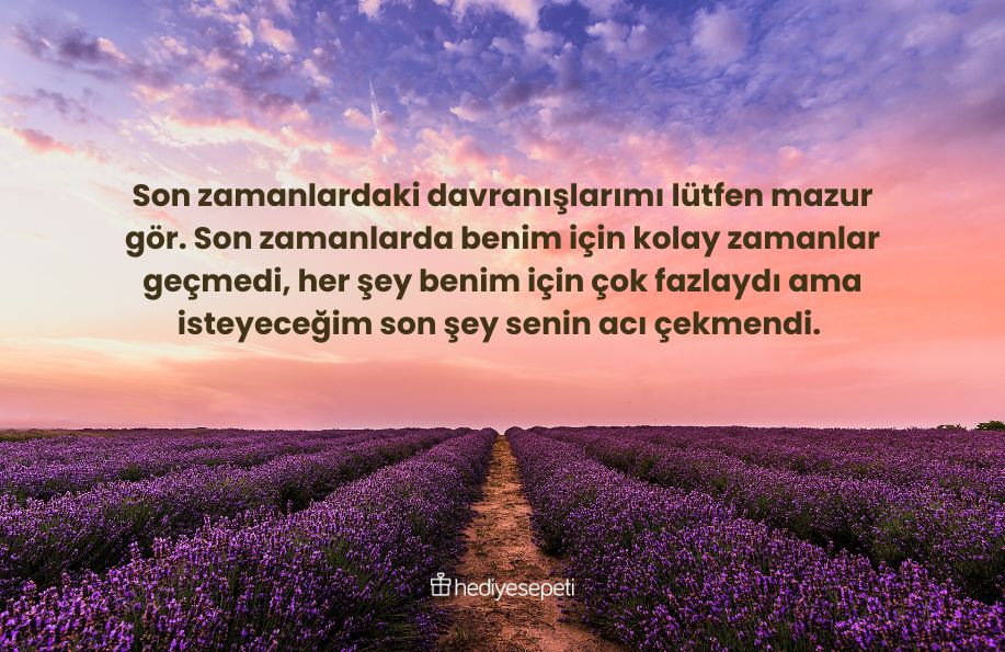 özür mesajları