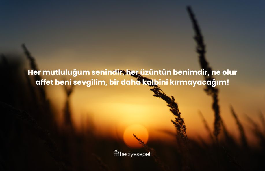 özür mesajları