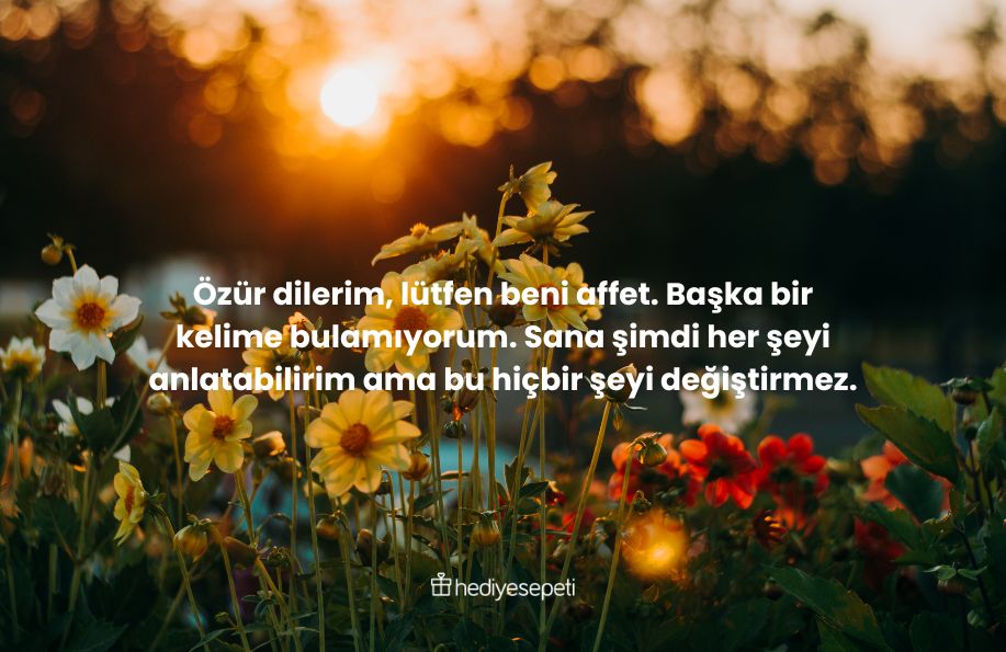 özür mesajları